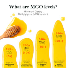 Load image into Gallery viewer, Manuka Honey With Healing Herbs